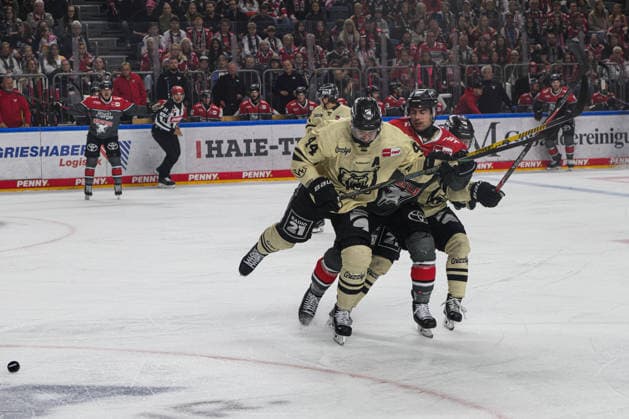 COLOGNE, GERMANY - 18 SEPTEMBER, 2026: - The PENNY DEL Ice hockey, Eishockey match Koelner Haie vs. Grizzlys Wolfsburg at LANXESS arena.  Copyright: xVitaliixKliuievx