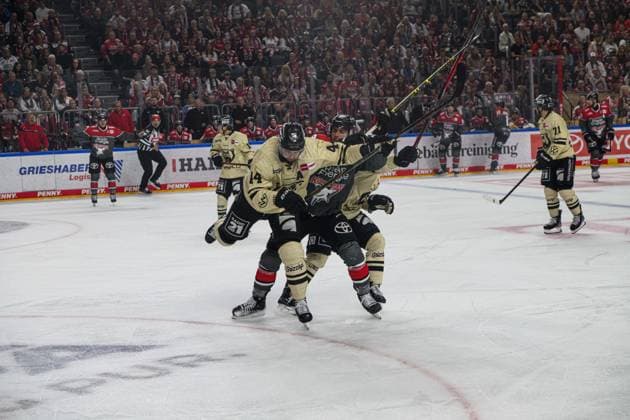 COLOGNE, GERMANY - 18 SEPTEMBER, 2026: - The PENNY DEL Ice hockey, Eishockey match Koelner Haie vs. Grizzlys Wolfsburg at LANXESS arena.  Copyright: xVitaliixKliuievx