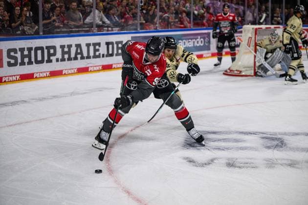 COLOGNE, GERMANY - 18 SEPTEMBER, 2026: Marcel Noebels, Madison Bowey - The PENNY DEL Ice hockey, Eishockey match Koelner Haie vs. Grizzlys Wolfsburg at LANXESS arena.  Copyright: xVitaliixKliuievx