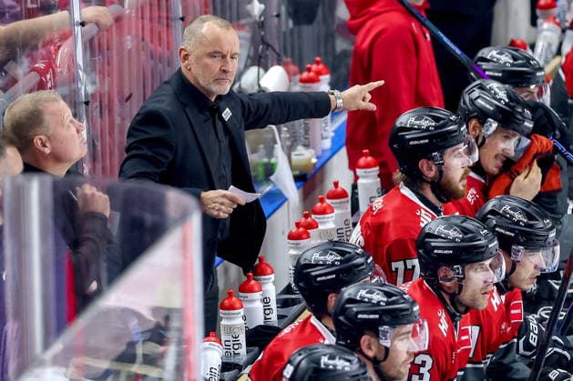 September 18, 2026, Ice Hockey, DEL, Kölner Haie vs. Grizzlys Wolfsburg, Matchday 1, 2026–27 Season, Lanxess Arena, Cologne; Head Coach Thomas Berglund of the Kölner Haie HC gesturing on the sidelines, North Rhine-Westphalia, Germany
