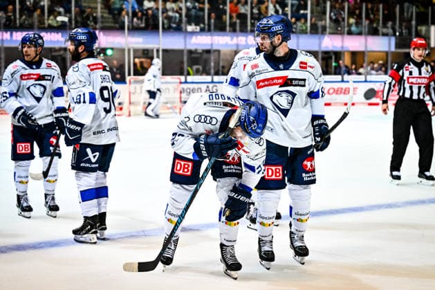 Injury: Jackin Smallwood, ERC Ingolstadt, 23, GER, Iserlohn Roosters vs. ERC Ingolstadt, Ice Hockey, Penny DEL, Matchday 1, 2026–2027 Season, September 19, 2026, GER, Iserlohn Roosters vs. ERC Ingolstadt, Ice Hockey, Penny DEL, Matchday 1, 2026–2027 Season, September 19, 2026, Iserlohn Copyright: xJonasxBrockmann Eibner-Pressefotx EP_JBN