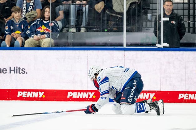 Leon Gawanke, Adler Mannheim, No. 9, in pain on the ice after being hit by a high stick, GER, EHC Red Bull Munich vs. Adler Mannheim, Ice Hockey, DEL, 2026–2027 Season, Matchday 1, September 18, 2026 Photo: HMB Media, Heike Feiner Copyright: HMBxMedia HeikexFeiner