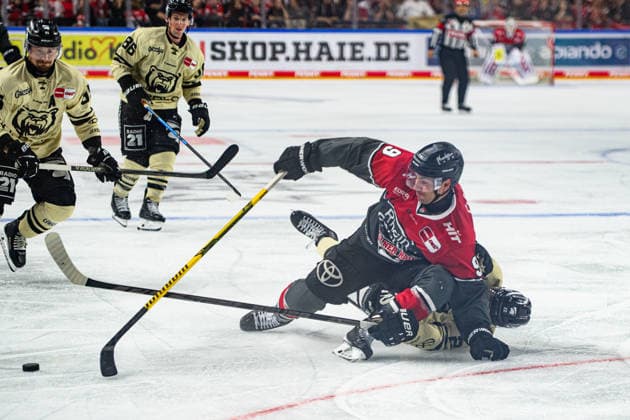 COLOGNE, GERMANY - 18 SEPTEMBER, 2026: Maximilian Kammerer - The PENNY DEL Ice hockey, Eishockey match Koelner Haie vs. Grizzlys Wolfsburg at LANXESS arena.  Copyright: xVitaliixKliuievx
