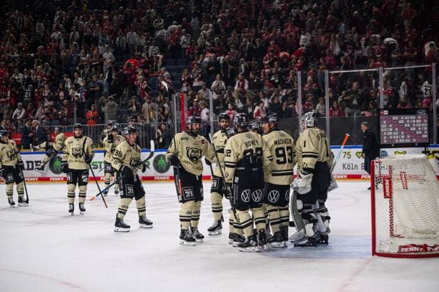 COLOGNE, GERMANY - 18 SEPTEMBER, 2026: - The PENNY DEL Ice hockey, Eishockey match Koelner Haie vs. Grizzlys Wolfsburg at LANXESS arena.  Copyright: xVitaliixKliuievx