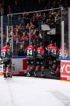 COLOGNE, GERMANY - 18 SEPTEMBER, 2026: - The PENNY DEL Ice hockey, Eishockey match Koelner Haie vs. Grizzlys Wolfsburg at LANXESS arena.  Copyright: xVitaliixKliuievx