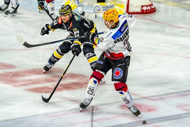 September 18, 2026, xkkux, Ice Hockey, DEL, Krefeld Pinguine vs. Fischtown Pinguins Bremerhaven, Matchday 1, 2026–27 Season, YAYLA Arena, Krefeld: Zack Dybowski (Krefeld Pinguine, 44) battles Alex Broadhurst (Fischtown Pinguins, 25) in North Rhine-Westphalia, Germany