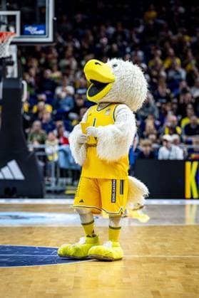 Basketball Berlin, September 18, 2026; 2026–2027 Season; EasyCredit BBL 1; Men s Bundesliga; Alba Berlin NINERS vs. Chemnitz Albatros