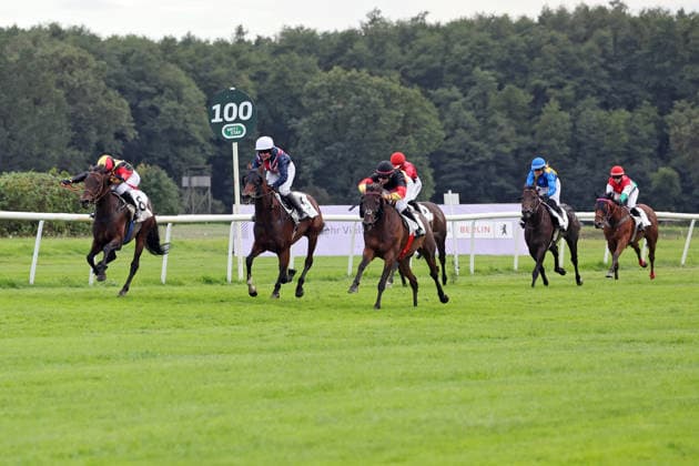 September 19, 2026, Hoppegarten, Brandenburg, GER Sky Emperor, ridden by Nora Cronauer and wearing a black cap, wins at the Hoppegarten Racetrack Horse, jockey, Sky Emperor, Cronauer, victory, finish line, finish, Fegentri 260919D502HOPPEGARTEN JPG