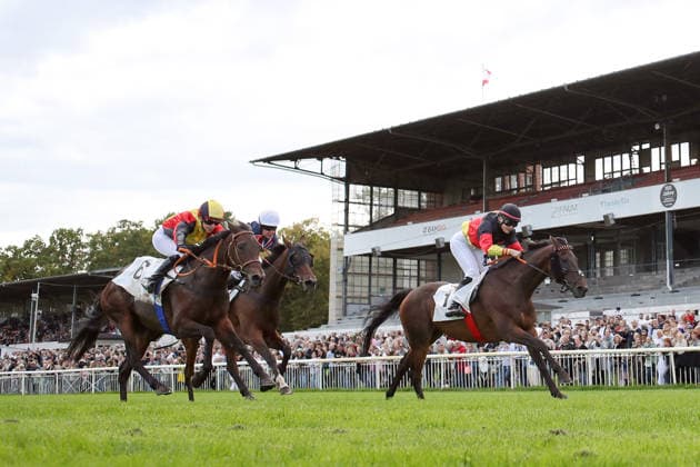 September 19, 2026, Hoppegarten, Brandenburg, GER Sky Emperor with Nora Cronauer wins at the Hoppegarten Racetrack Horse, Jockey, Sky Emperor, Cronauer, Victory, Finish, Finish Line, Fegentri 260919D503HOPPEGARTEN JPG