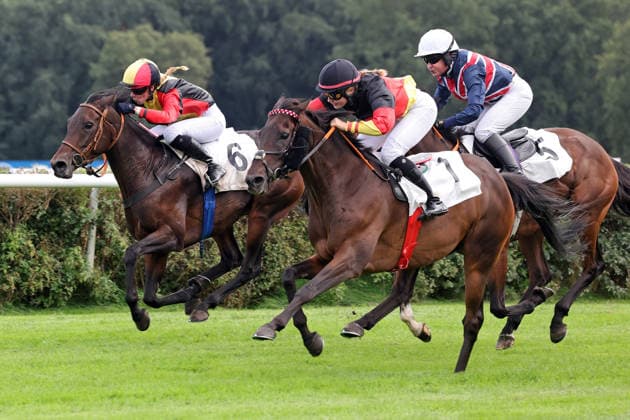 September 19, 2026, Hoppegarten, Brandenburg, GER Sky Emperor, ridden by Nora Cronauer and wearing a black cap, wins at the Hoppegarten Racetrack Horse, jockey, Sky Emperor, Cronauer, victory, finish line, finish, Fegentri 260919D504HOPPEGARTEN JPG
