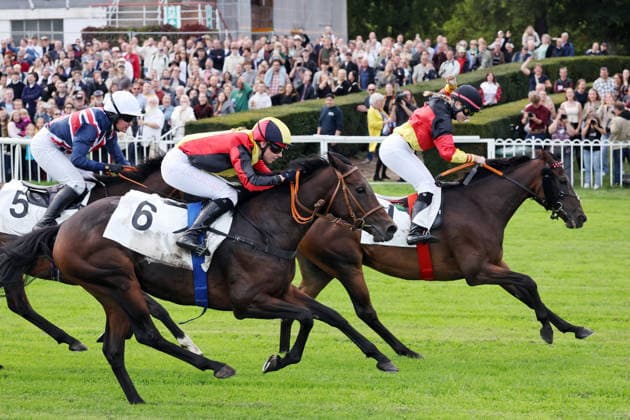 September 19, 2026, Hoppegarten, Brandenburg, GER Sky Emperor with Nora Cronauer wins at the Hoppegarten Racetrack Horse, Jockey, Sky Emperor, Cronauer, Victory, Finish, Finish Line, Fegentri 260919D505HOPPEGARTEN JPG