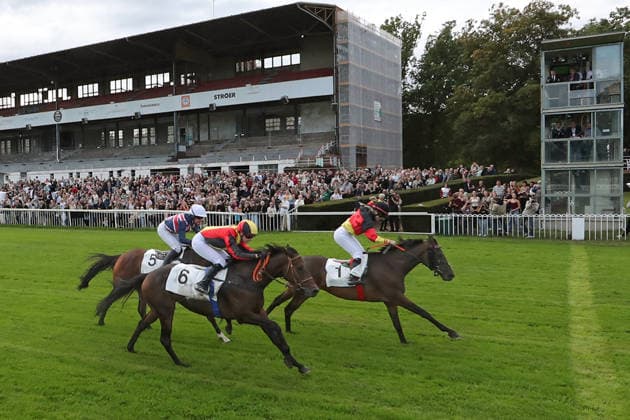 September 19, 2026, Hoppegarten, Brandenburg, GER Sky Emperor with Nora Cronauer wins at the Hoppegarten Racetrack Horse, Jockey, Sky Emperor, Cronauer, Victory, Finish, Finish Line, Fegentri 260919D507HOPPEGARTEN JPG