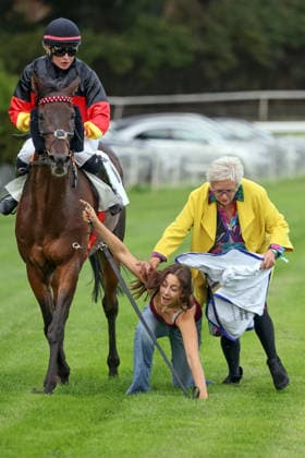 September 19, 2026, Hoppegarten, Brandenburg, GER Horse attendants Charlotte Dzubasz and Katja Warmbier stumble while retrieving the winner, Sky Emperor, with Nora Cronauer at the Hoppegarten Race Track; Horse, Jockey, Sky Emperor, Cronauer, Victory, Groom, Dzubasz, Warmbier, stumble, fall, crash, Fegentri 260919D508HOPPEGARTEN JPG