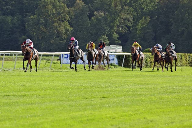 September 19, 2026, Hoppegarten, Brandenburg, GER Amigo Charly with Michaela Malacova wins at the Hoppegarten Racetrack Horse, Jockey, Amigo Charly, Malacova, Victory, Finish Line, Finish 260919D511HOPPEGARTEN JPG
