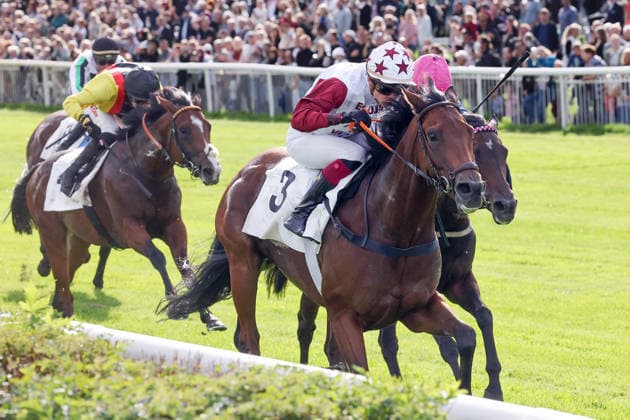 September 19, 2026, Hoppegarten, Brandenburg, GER Amigo Charly with Michaela Malacova wins at the Hoppegarten Racetrack Horse, Jockey, Amigo Charly, Malacova, Victory, Finish Line, Finish 260919D512HOPPEGARTEN JPG