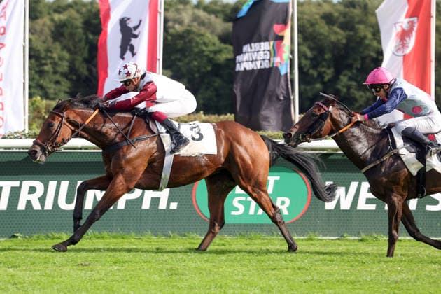 September 19, 2026, Hoppegarten, Brandenburg, GER Amigo Charly with Michaela Malacova wins at Hoppegarten Racetrack Horse, Jockey, Amigo Charly, Malacova, Victory, Finish, Crossing the Finish Line 260919D514HOPPEGARTEN JPG