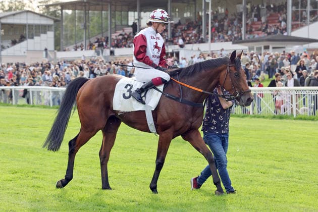 September 19, 2026, Hoppegarten, Brandenburg, GER Amigo Charly with Michaela Malacova after the victory at the Hoppegarten Racetrack Horse, jockey, Amigo Charly, Malacova, victory 260919D517HOPPEGARTEN JPG