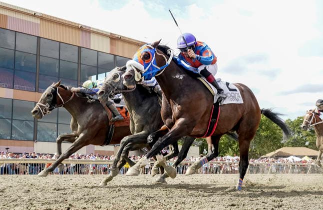 September 19, 2026, Bensalem, Pa, USA: Buccherino (2) ridden by Eliseo Ruiz wins the Stable Recovery Stakes on Pennsylvania Derby Day at Parx Casino and Racing in Bensalem, Pennsylvania on September 19, 2026. Eclipse Sportswire CSM Headline: Horse Racing 2026: Pennsylvania Derby Day PARX SEP 19  - ZUMAcs17 20260919_faf_cs17_025 Copyright: xScottxSeriox