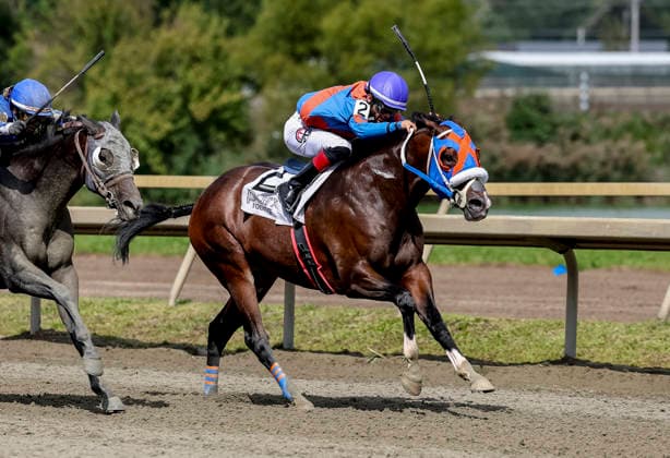 September 19, 2026, Bensalem, Pa, USA: Buccherino (2) ridden by Eliseo Ruiz wins the Stable Recovery Stakes on Pennsylvania Derby Day at Parx Casino and Racing in Bensalem, Pennsylvania on September 19, 2026. Eclipse Sportswire CSM Headline: Horse Racing 2026: Pennsylvania Derby Day PARX SEP 19  - ZUMAcs17 20260919_faf_cs17_031 Copyright: xTimxSudduthx
