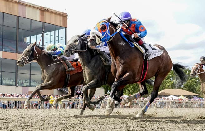 Equestrian sports, horse racing, race day in Bensalem, Pennsylvania