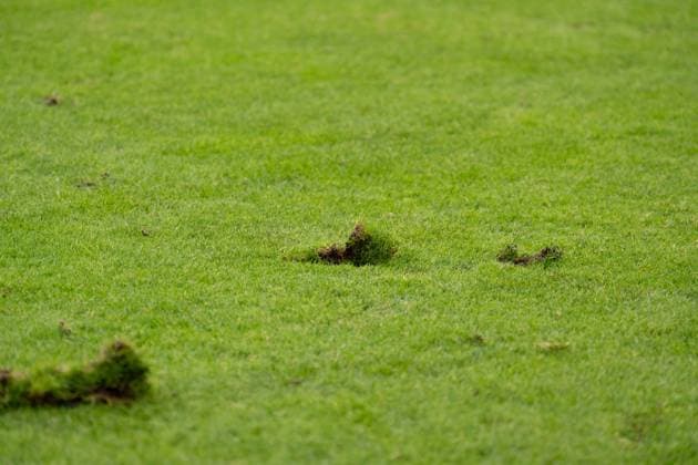 September 20, 2026: Energie Cottbus vs. FC St. Pauli, Matchday 6 of the 2. Bundesliga at the LEAG Energie Stadium. Damaged Turf at Halftime at the LEAG Energie Stadium. IMPORTANT NOTICE: In accordance with DFL and DFB regulations, it is prohibited to use or allow the use of photographs taken in the stadium and or during the game in the form of sequential images and or video-like photo series Copyright: xJamesxZabelx