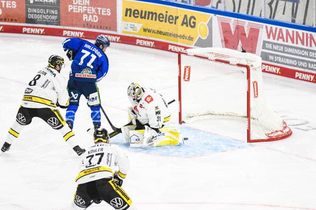 Straubing Tigers vs. Krefeld Pinguine, Ice Hockey, German Ice Hockey League, Penny DEL, Matchday 1, 2026–2027 Season, September 23, 2026: Nicholas Halloran of the Straubing Tigers beats Felix Bick of the Krefeld Pinguine, Men’s Ice Hockey, German Ice Hockey League, Penny DEL, Matchday 1, 2026–2027 Season on September 20, 2026, at the Eisstadion am Pulverturm, Straubing Tigers (blue) vs. Krefeld Pinguine (white)