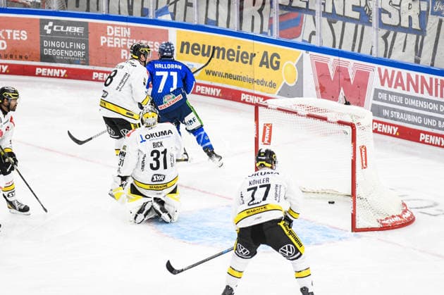 Straubing Tigers vs. Krefeld Pinguine, Ice Hockey, German Ice Hockey League, Penny DEL, Matchday 1, 2026–2027 Season, September 23, 2026: Nicholas Halloran of the Straubing Tigers beats Felix Bick of the Krefeld Pinguine, Men’s Ice Hockey, German Ice Hockey League, Penny DEL, Matchday 1, 2026–2027 Season on September 20, 2026, at the Eisstadion am Pulverturm, Straubing Tigers (blue) vs. Krefeld Pinguine (white)