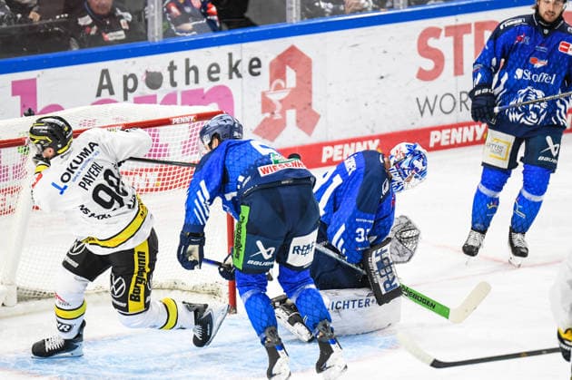 Straubing Tigers vs. Krefeld Pinguine, Ice Hockey, German Ice Hockey League, Penny DEL, Matchday 1, 2026–2027 Season, September 23, 2026: Jakub Skarek of the Straubing Tigers prevents a goal, Men s Ice Hockey, German Ice Hockey League, Penny DEL, Matchday 1, 2026–2027 season on September 20, 2026, at the Eisstadion am Pulverturm, Straubing Tigers (blue) vs. Krefeld Pinguine (white)