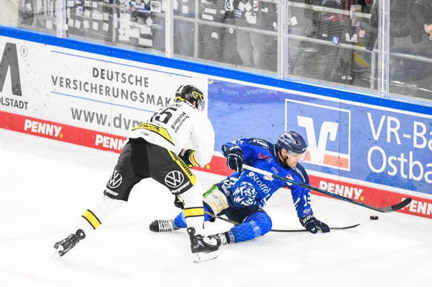 Straubing Tigers vs. Krefeld Pinguine, Ice Hockey, German Ice Hockey League, Penny DEL, Matchday 1, 2026–2027 Season, September 23, 2026: Tim Brunnhuber of the Straubing Tigers on the ice in a matchup against Davis Vandane of the Krefeld Pinguine, Men’s Ice Hockey, German Ice Hockey League, Penny DEL, Matchday 1, 2026–2027 Season on September 20, 2026, at the Eisstadion am Pulverturm, Straubing Tigers (blue) vs. Krefeld Pinguine (white)