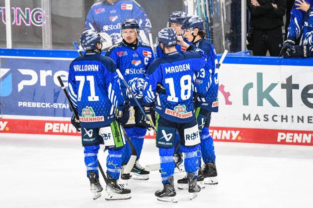 Straubing Tigers vs. Krefeld Pinguine, Ice Hockey, German Ice Hockey League, Penny DEL, Matchday 1, 2026–2027 Season, September 23, 2026 Nicholas Halloran, Marcel Brandt, Tyler Madden, Mario Zimmermann, and Danjo Leonhardt Straubing Tigers, Men s Ice Hockey, German Ice Hockey League, Penny DEL, Matchday 1, 2026–2027 Season on September 20, 2026, at the Eisstadion am Pulverturm; Straubing Tigers (blue) vs. Krefeld Pinguine (white)