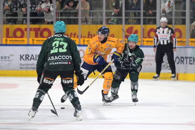 Ice hockey, DEL2, Bietigheim Steelers v Lausitzer Füchse