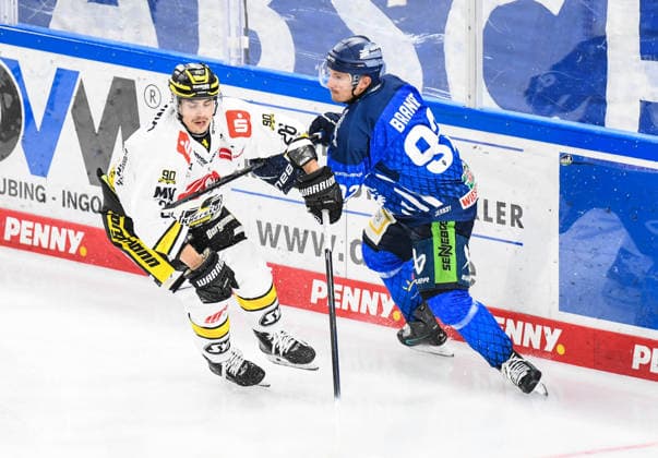 Straubing Tigers vs. Krefeld Pinguine, Ice Hockey, German Ice Hockey League, Penny DEL, Matchday 1, 2026–2027 Season, September 23, 2026: Marcel Brandt of the Straubing Tigers faces off against Daniel Busch of the Krefeld Pinguine, Men’s Ice Hockey, German Ice Hockey League, Penny DEL, Matchday 1, 2026–2027 Season on September 20, 2026, at the Eisstadion am Pulverturm, Straubing Tigers (blue) vs. Krefeld Pinguine (white)