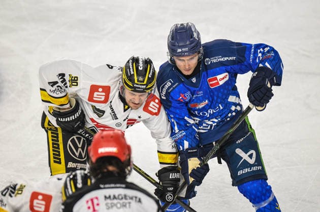 Straubing Tigers vs. Krefeld Pinguine, Ice Hockey, German Ice Hockey League, Penny DEL, Matchday 1, 2026–2027 Season, September 23, 2026: Nicholas Halloran of the Straubing Tigers takes the faceoff against Alexander Weiss of the Krefeld Pinguine, Men’s Ice Hockey, German Ice Hockey League, Penny DEL, Matchday 1, 2026–2027 season on September 20, 2026, at the Eisstadion am Pulverturm, Straubing Tigers (blue) vs. Krefeld Pinguine (white)