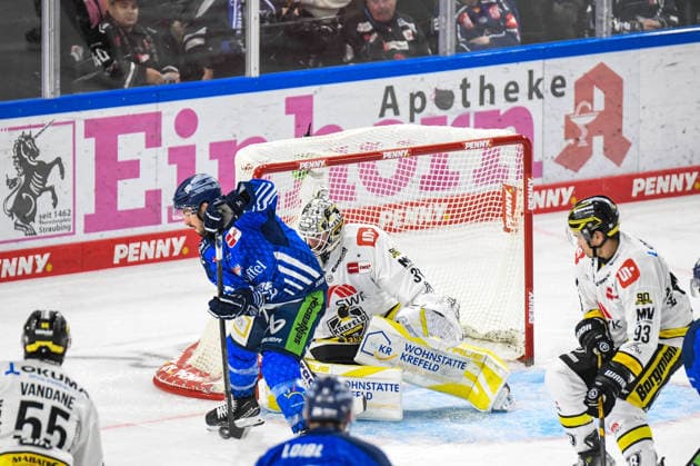 Straubing Tigers vs. Krefeld Pinguine, Ice Hockey, German Ice Hockey League, Penny DEL, Matchday 1, 2026–2027 Season, September 23, 2026: Spencer Kersten of the Straubing Tigers with the puck in front of Felix Bick of the Krefeld Pinguine, Men’s Ice Hockey, German Ice Hockey League, Penny DEL, Matchday 1, 2026–2027 season on September 20, 2026, at the Eisstadion am Pulverturm; Straubing Tigers (blue) vs. Krefeld Pinguine (white)