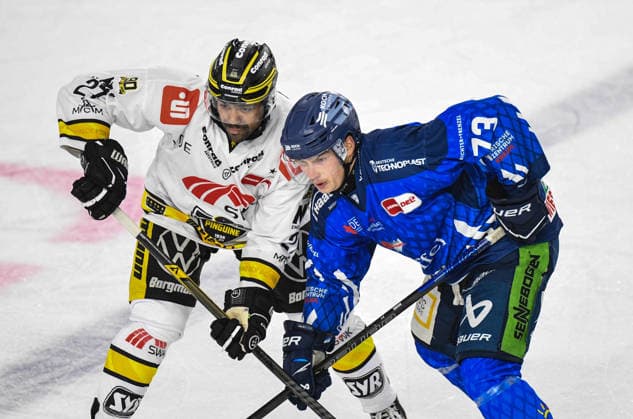 Straubing Tigers vs. Krefeld Pinguine, Ice Hockey, German Ice Hockey League, Penny DEL, Matchday 1, 2026–2027 Season, September 23, 2026: Linus Brandl of the Straubing Tigers vs. C. J. Suess of the Krefeld Pinguine, Men s Ice Hockey, German Ice Hockey League, Penny DEL, Matchday 1, 2026–2027 season on September 20, 2026, at the Eisstadion am Pulverturm, Straubing Tigers (blue) vs. Krefeld Pinguine (white)