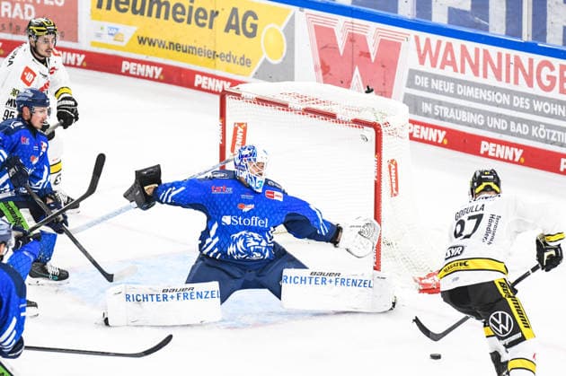 Straubing Tigers vs. Krefeld Pinguine, Ice Hockey, German Ice Hockey League, Penny DEL, Matchday 1, 2026–2027 Season, September 23, 2026: Philip Gogulla of the Krefeld Pinguine scores against Jakub Skarek of the Straubing Tigers, Men s Ice Hockey, German Ice Hockey League, Penny DEL, Matchday 1, 2026–2027 Season on September 20, 2026, at the Eisstadion am Pulverturm; Straubing Tigers (blue) vs. Krefeld Pinguine (white)