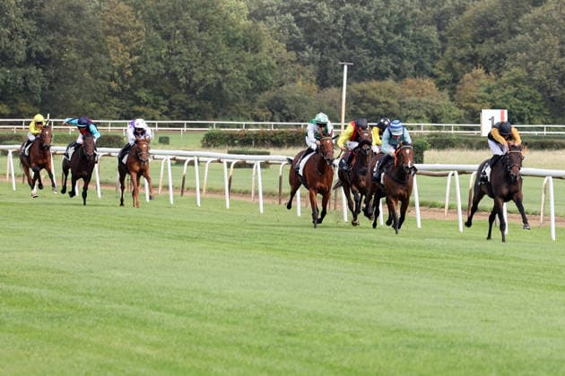 September 20, 2026, Hanover, Lower Saxony, GER Chaud, with Bauyrzhan Murzabayev, wins at the Hanover Racetrack, Neue Bult 260920D950HANNOVER JPG
