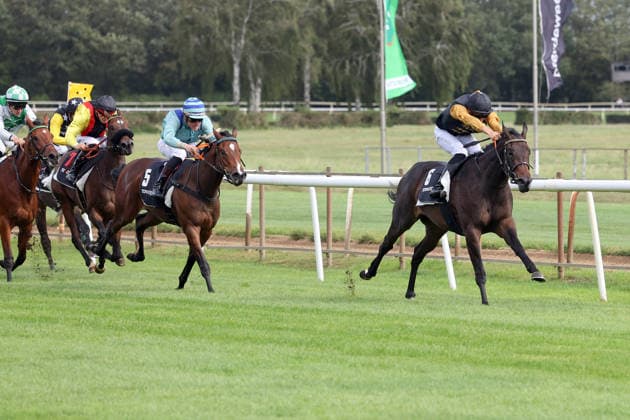 September 20, 2026, Hanover, Lower Saxony, GER Chaud, with Bauyrzhan Murzabayev, wins at the Hanover Racetrack, Neue Bult 260920D950HANNOVER JPG