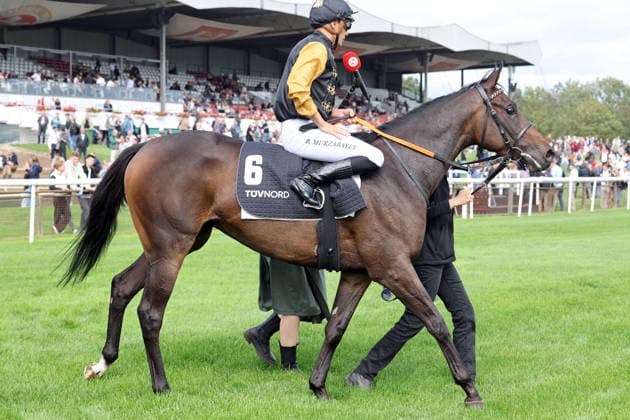 September 20, 2026, Hanover, Lower Saxony, GER Chaud with Bauyrzhan Murzabayev after the victory at the Hanover Racetrack, Neue Bult 260920D954HANNOVER JPG