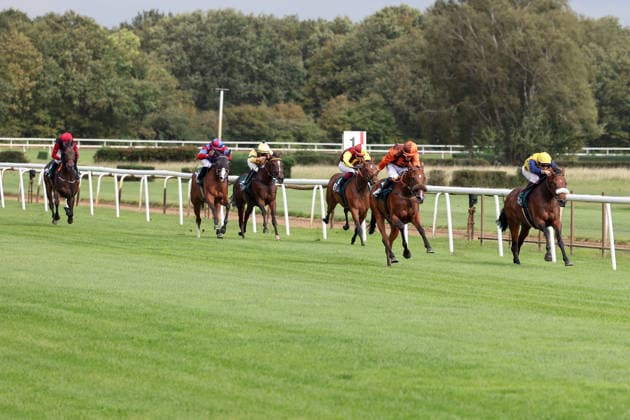 September 20, 2026, Hanover, Lower Saxony, GER Koffi Amorcita, ridden by Thore Hammer Hansen, wins at the Hanover Racetrack, Neue Bult 260920D956HANNOVER JPG