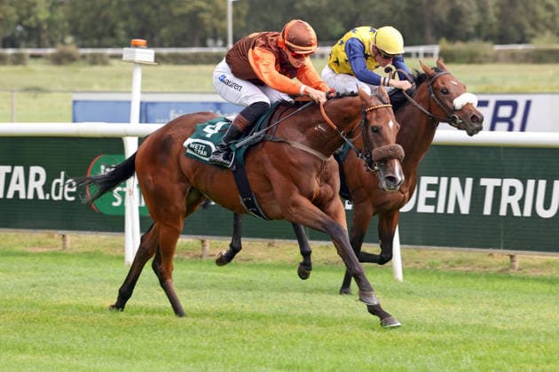 September 20, 2026, Hanover, Lower Saxony, GER Koffi Amorcita, ridden by Thore Hammer Hansen, wins at the Hanover Racetrack, Neue Bult 260920D956HANNOVER JPG