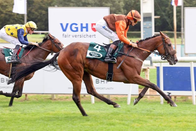 September 20, 2026, Hanover, Lower Saxony, GER Koffi Amorcita, ridden by Thore Hammer Hansen, wins at the Hanover Racetrack, Neue Bult 260920D956HANNOVER JPG