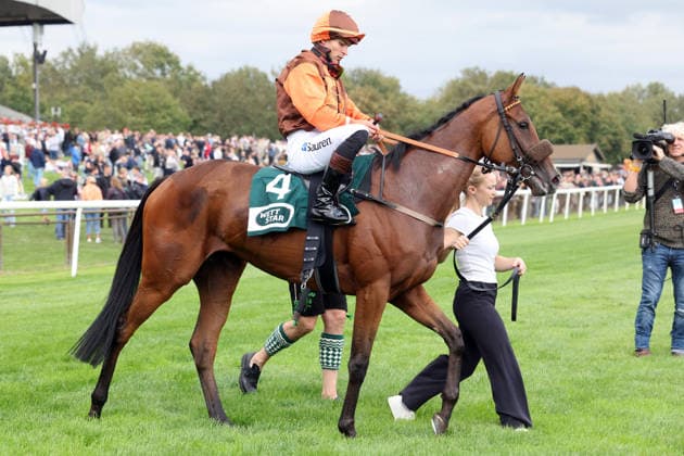 September 20, 2026, Hanover, Lower Saxony, GER Koffi Amorcita with Thore Hammer Hansen after the victory at the Hanover Racetrack, Neue Bult 260920D959HANNOVER JPG