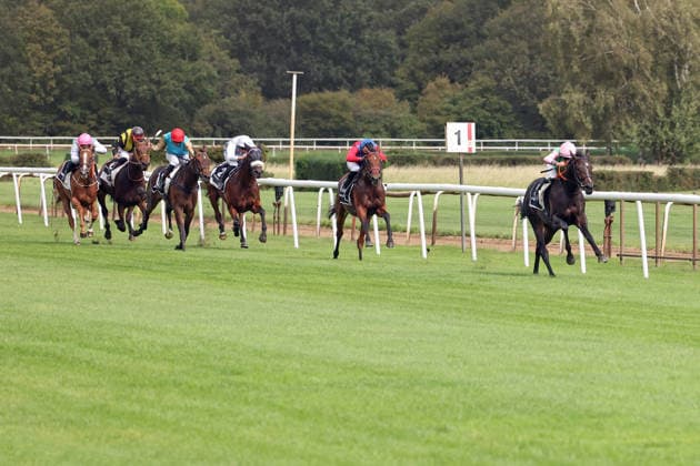 September 20, 2026, Hanover, Lower Saxony, GER Mahasti, ridden by Vladimir Panov, wins the Junior Prize at the Hanover Racetrack, Neue Bult 260920D960HANNOVER JPG