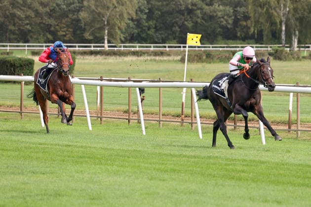 September 20, 2026, Hanover, Lower Saxony, GER Mahasti, ridden by Vladimir Panov, wins the Junior Prize at the Hanover Racetrack, Neue Bult 260920D960HANNOVER JPG