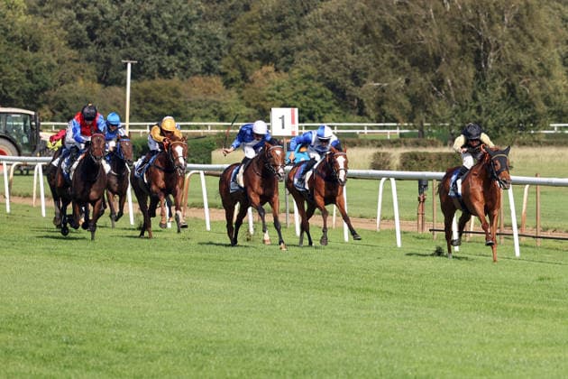 September 20, 2026, Hanover, Lower Saxony, GER Soft Winds with Vladimir Panov wins at the Hanover Racetrack, Neue Bult 260920D972HANNOVER JPG