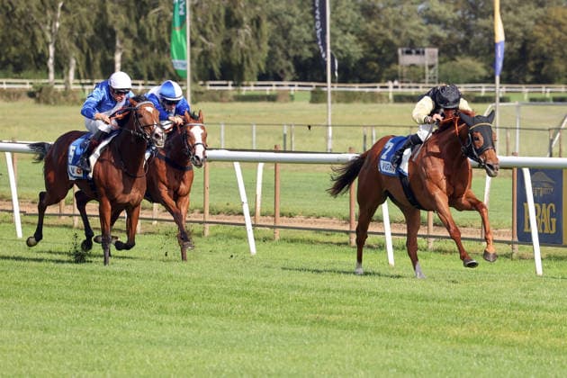 September 20, 2026, Hanover, Lower Saxony, GER Soft Winds with Vladimir Panov wins at the Hanover Racetrack, Neue Bult 260920D972HANNOVER JPG