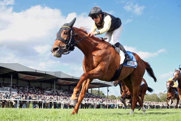 September 20, 2026, Hanover, Lower Saxony, GER Soft Winds with Vladimir Panov wins at the Hanover Racetrack, Neue Bult 260920D972HANNOVER JPG