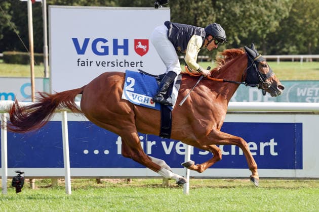 September 20, 2026, Hanover, Lower Saxony, GER Soft Winds with Wladimir Panov wins at the Hanover Racetrack, Neue Bult 260920D972HANNOVER JPG
