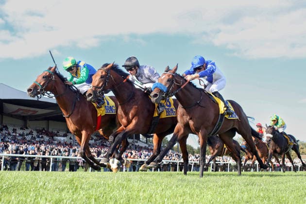 Equestrian sports, horse racing, race day at the Hanover racecourse
